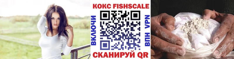 Купить закладки  Нижний Ломов  COCAIN Fish Scale 