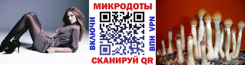 Купить где  Нижний Ломов  Псилоцибиновые грибы мицелий 